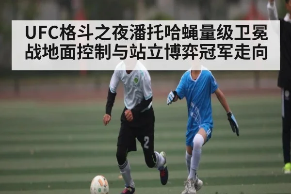 UFC格斗之夜潘托哈蝇量级卫冕战地面控制与站立博弈冠军走向
